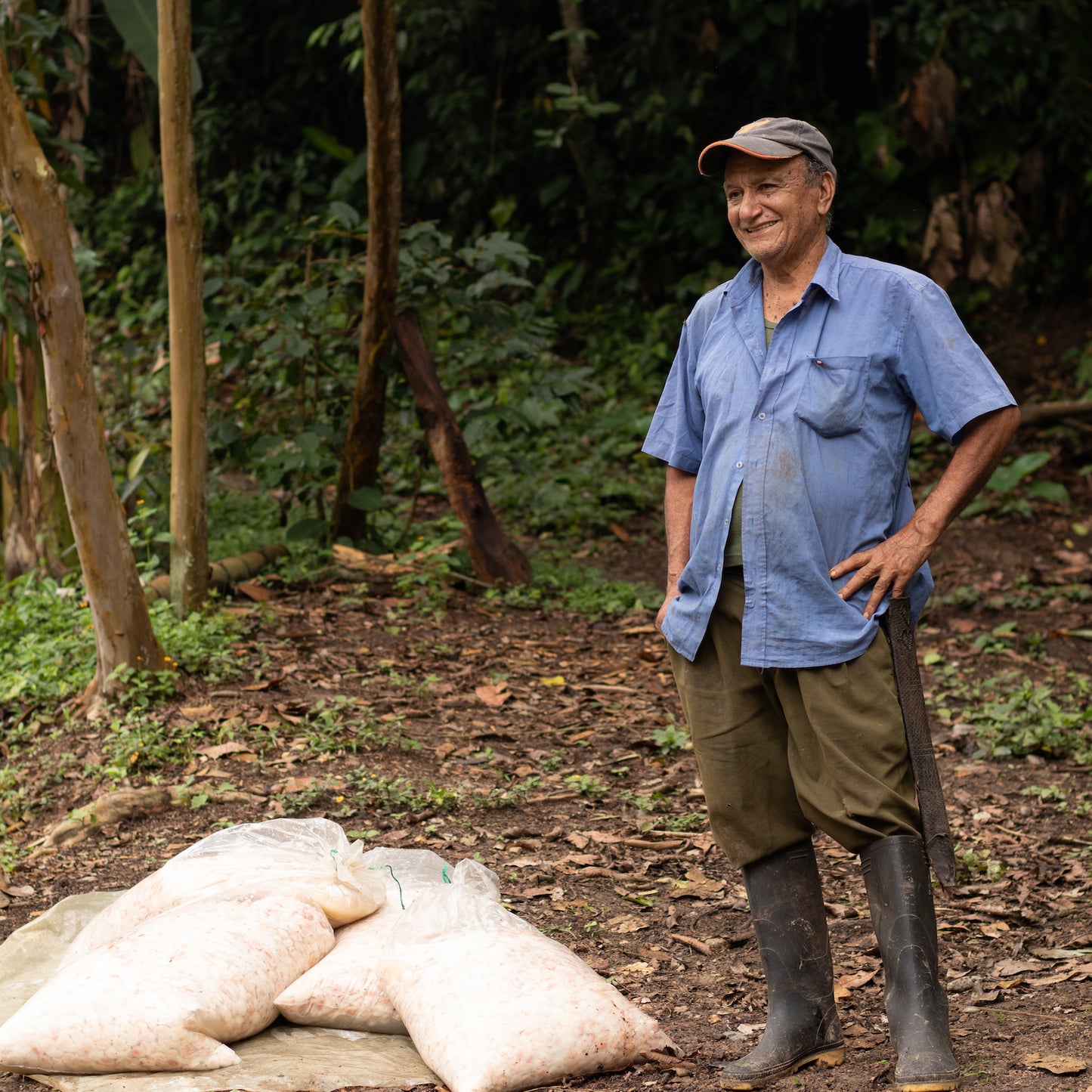 WE BUY CACAO IN THEIR FARMS' ENTRANCE